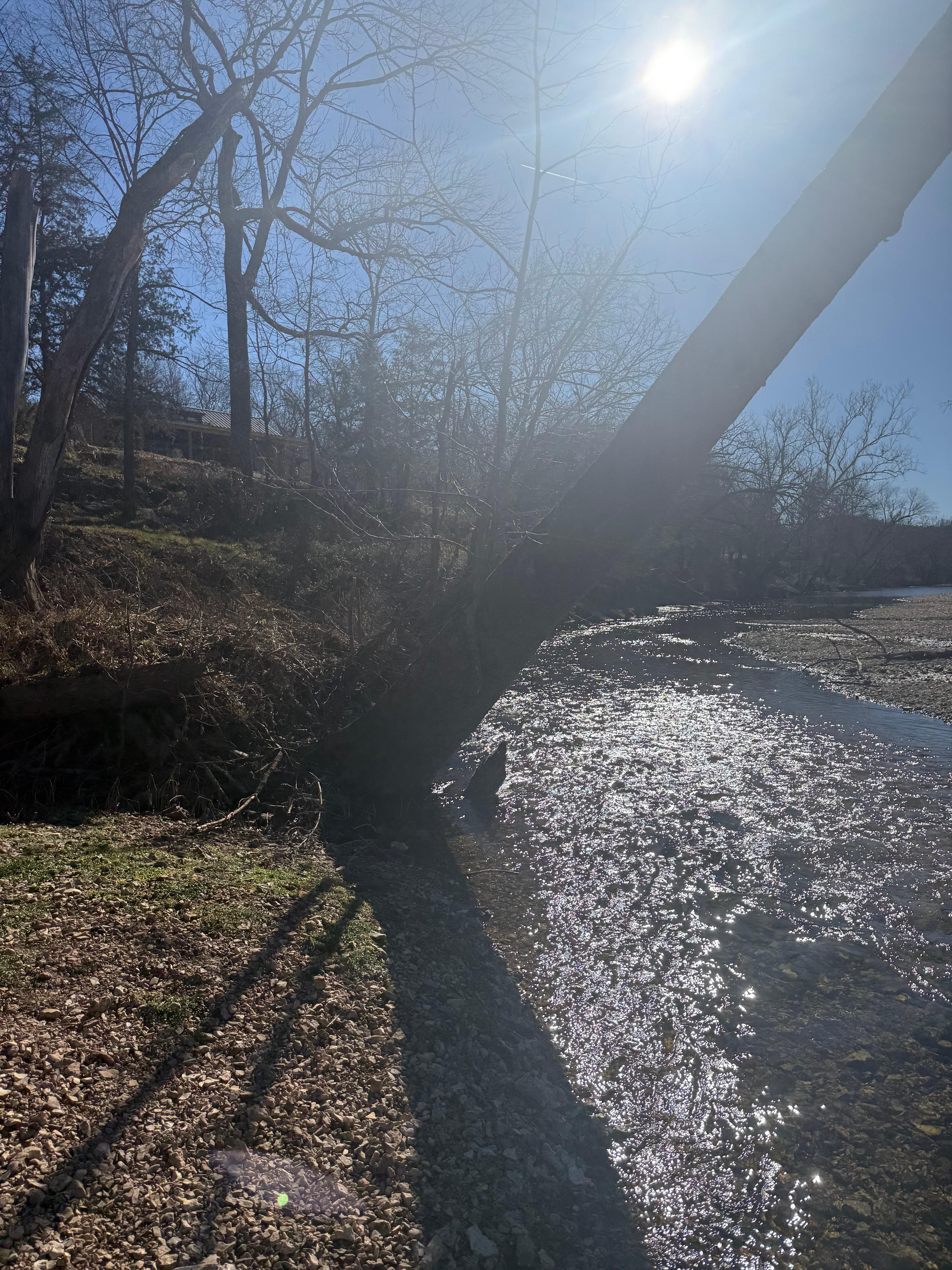 Cabin along the creek