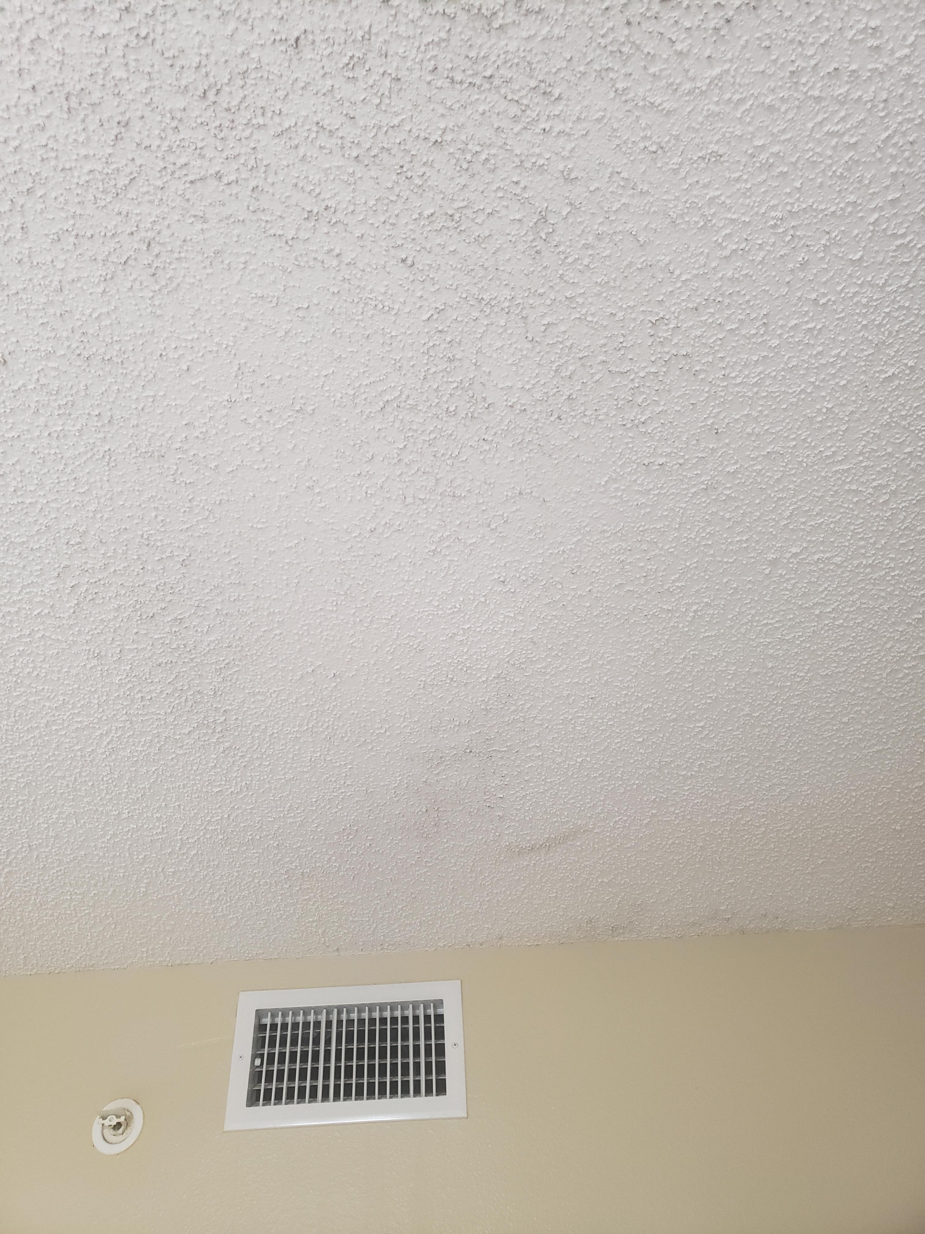 Mold in bedroom