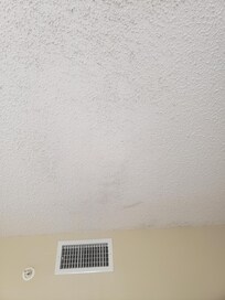 Mold in bedroom