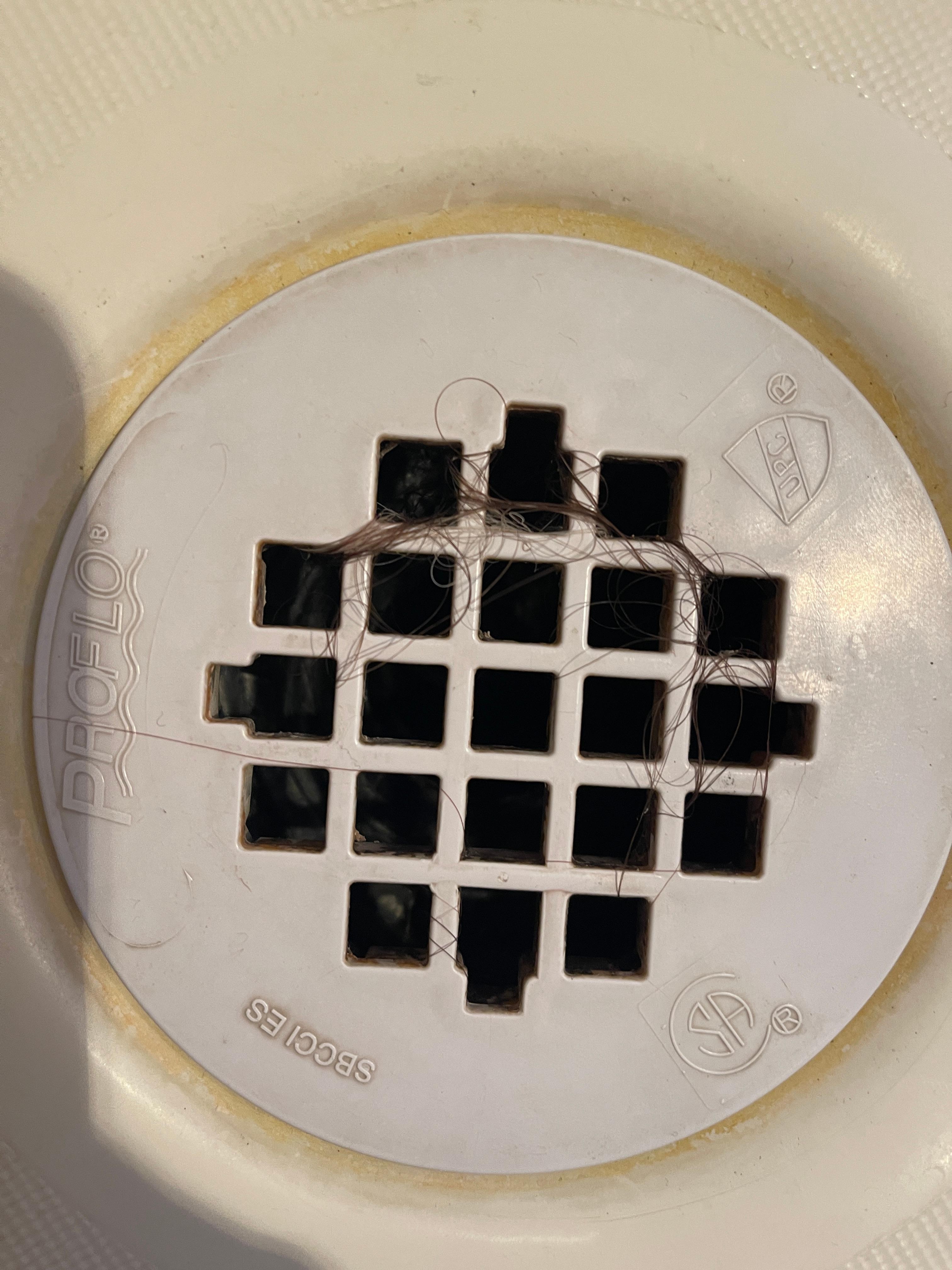 Hair in shower drain