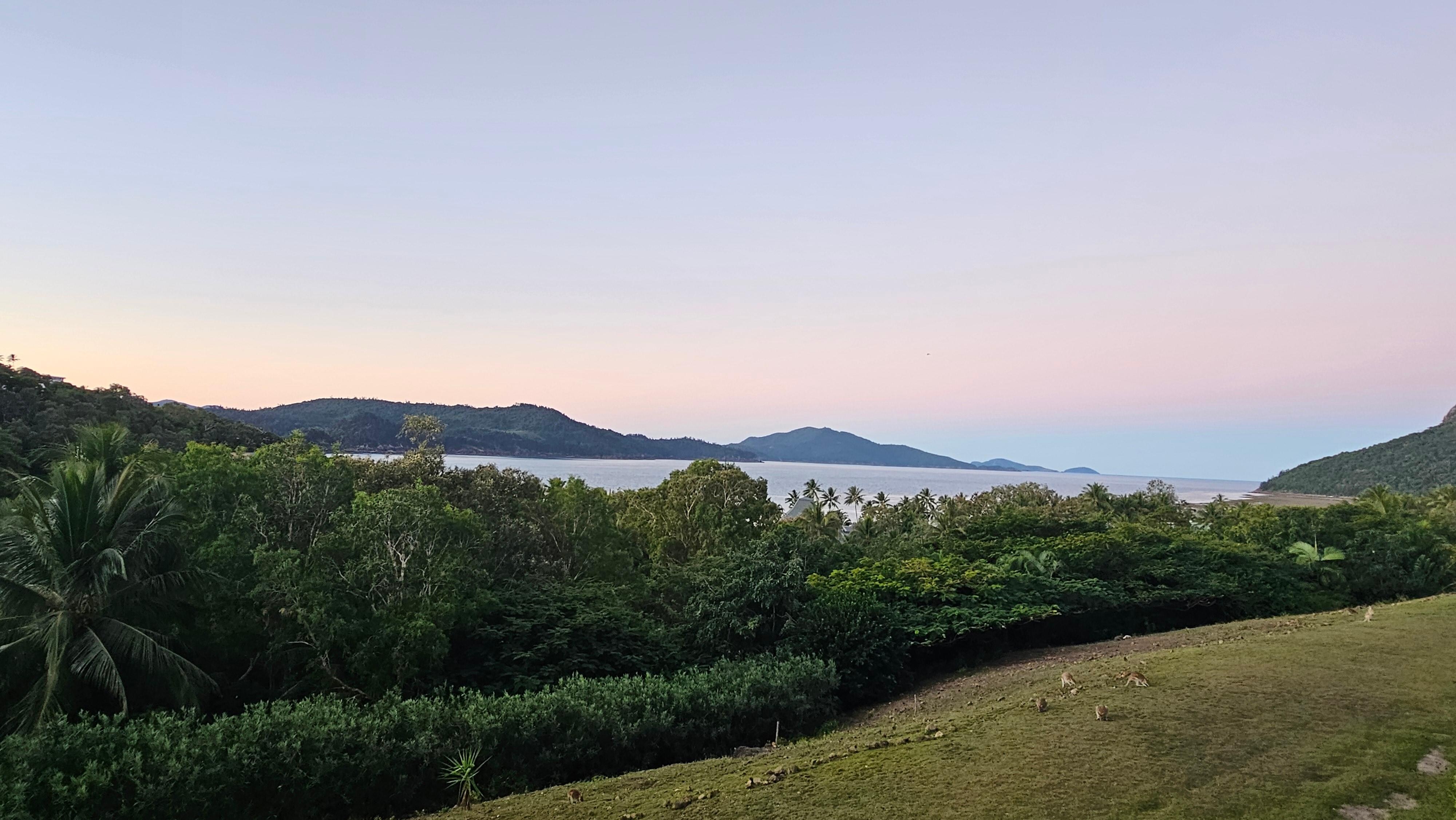 view from balcony
