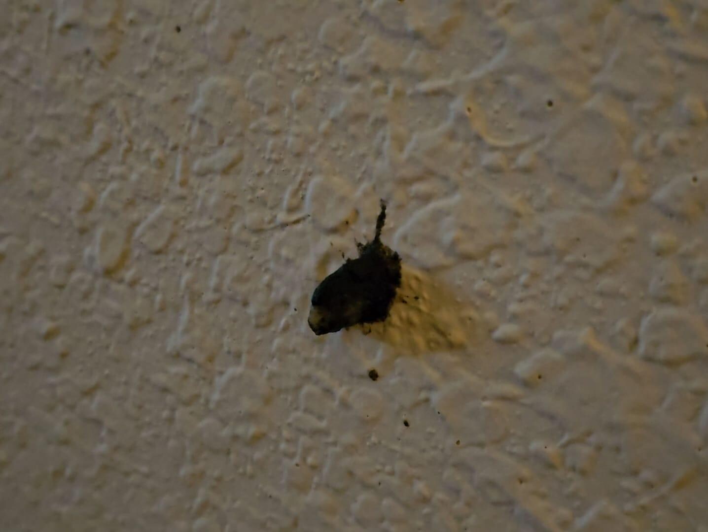 Wall next to bed