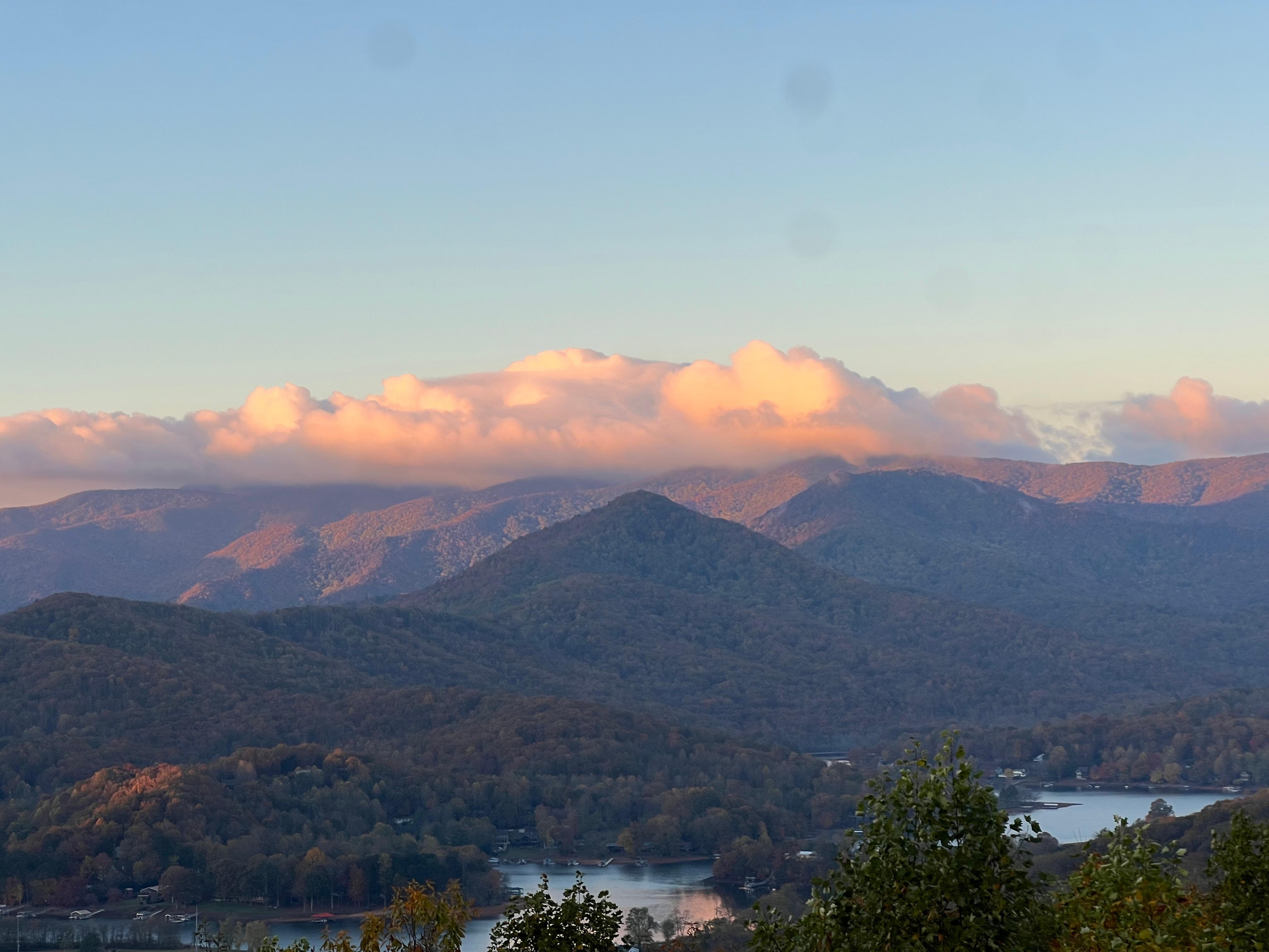 view from rocking chair 