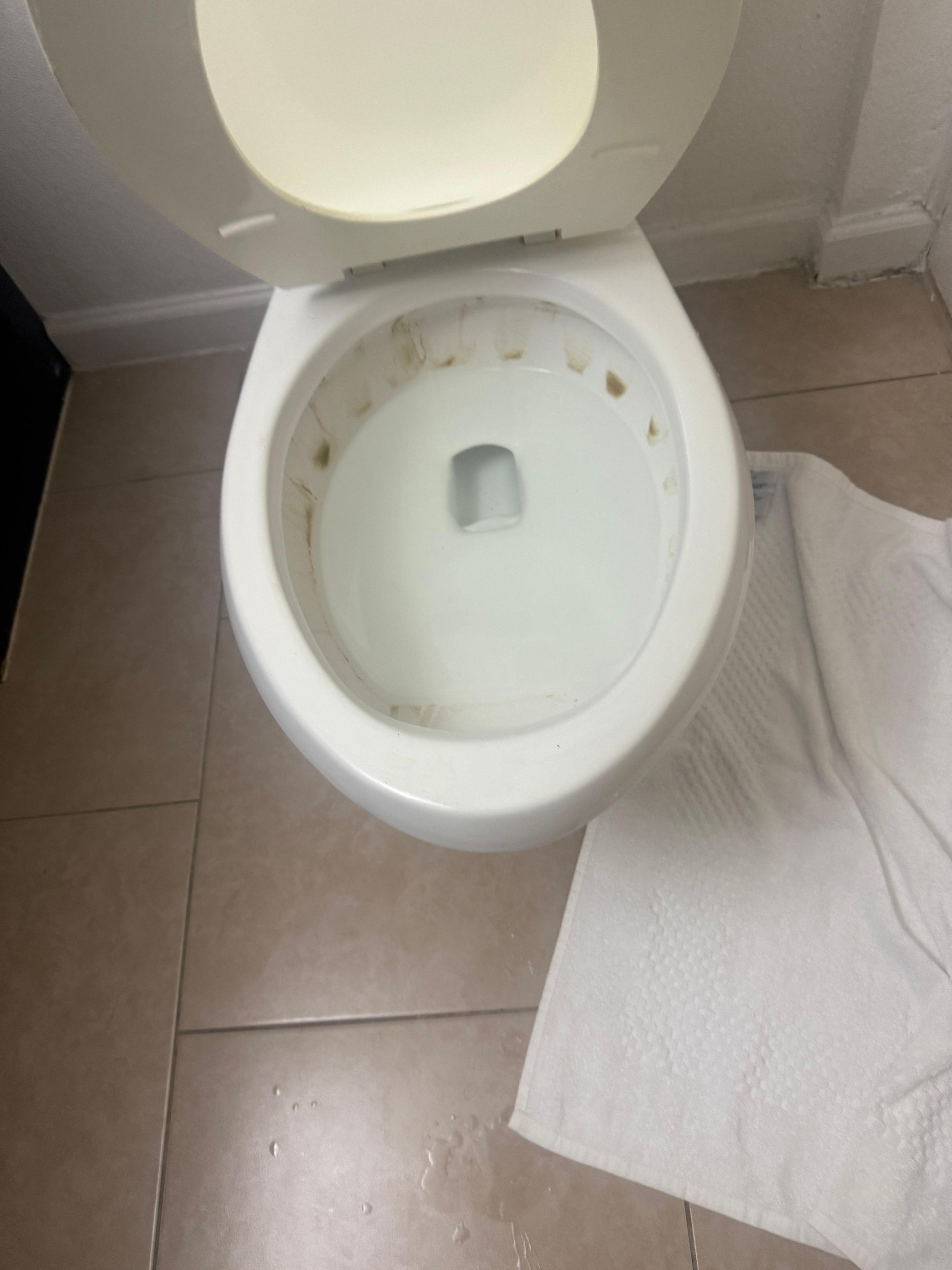 And completely stained Water leaking from toilet on one of the rooms 