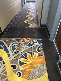 The hallways, entrance area, and dining room all filthy carpet.