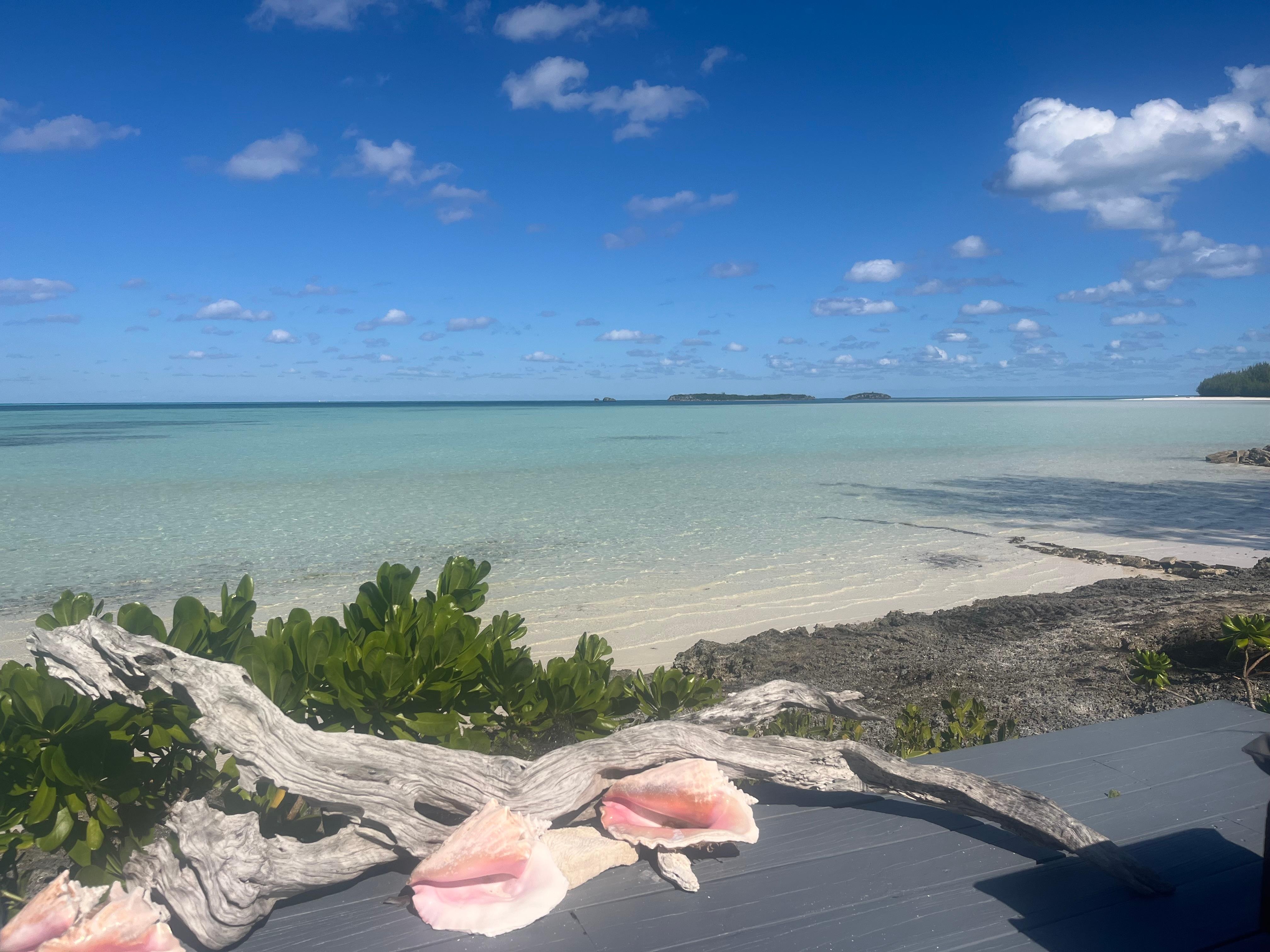 The stunning view from the lounger platform.