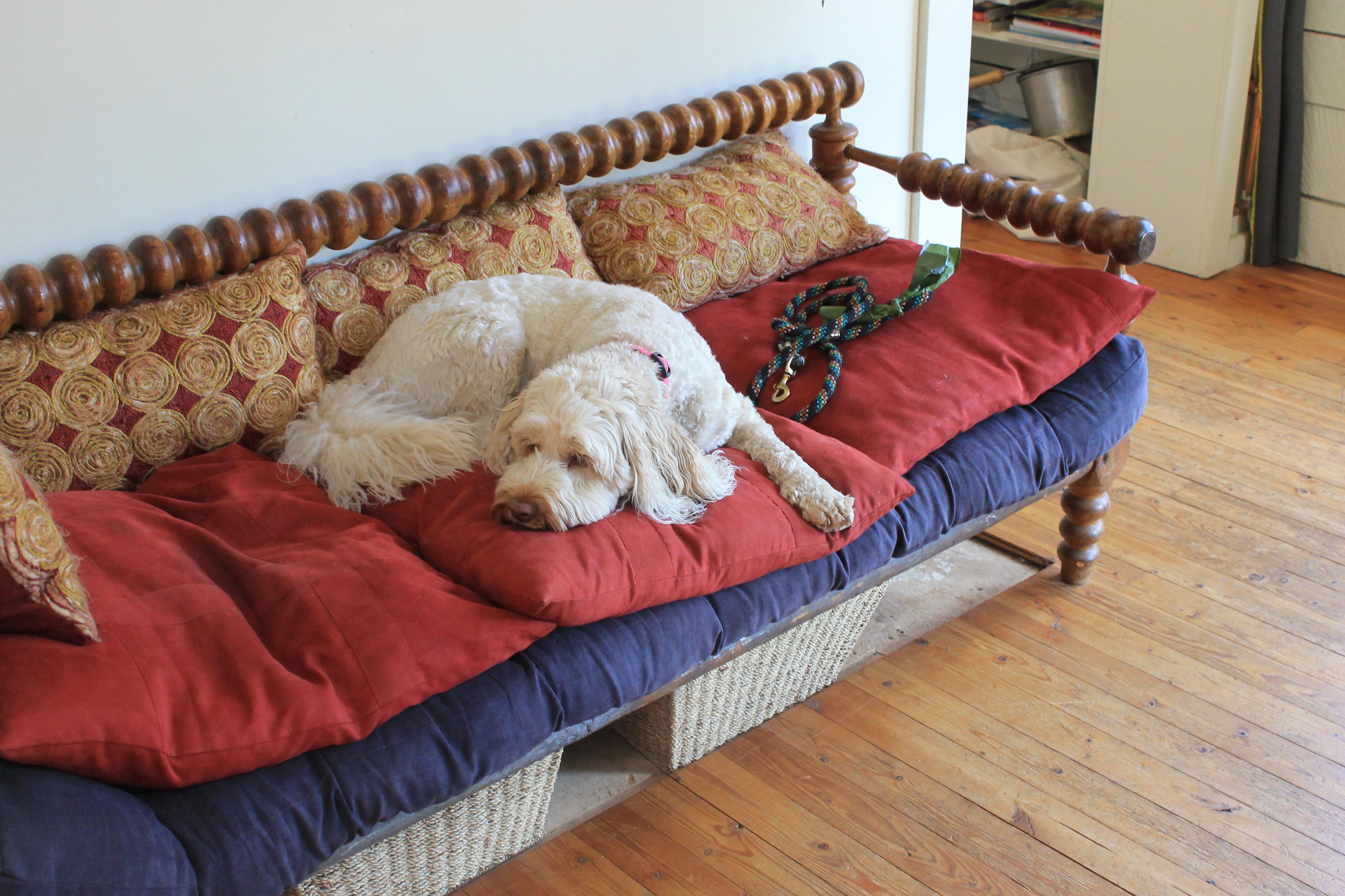 Bindi's favourite place.