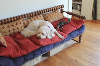 Bindi's favourite place.