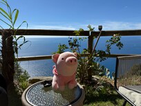 Vista desde el jardín