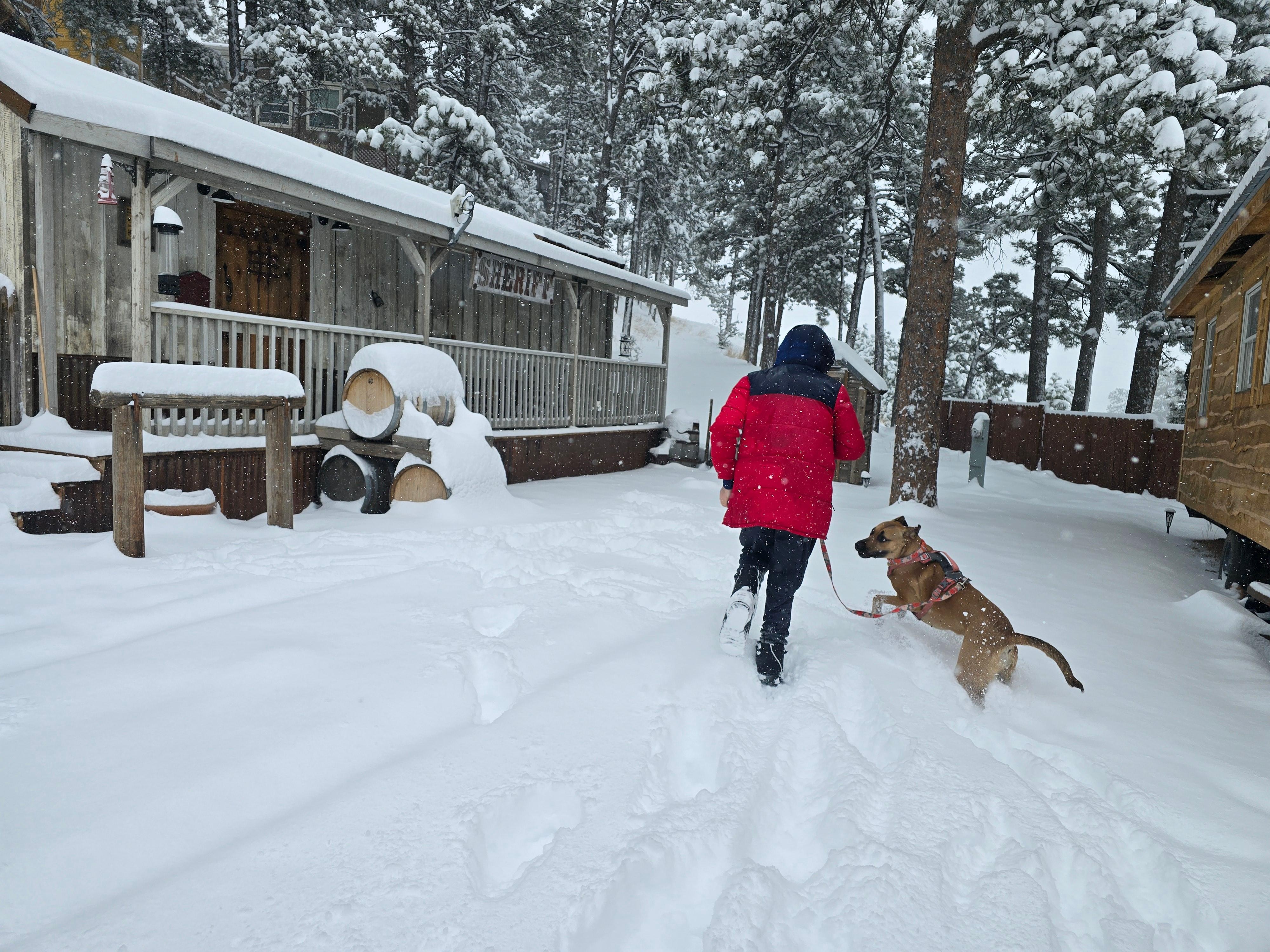 Snowy Colorado Cabin