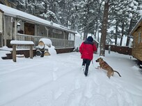 Snowy Colorado Cabin