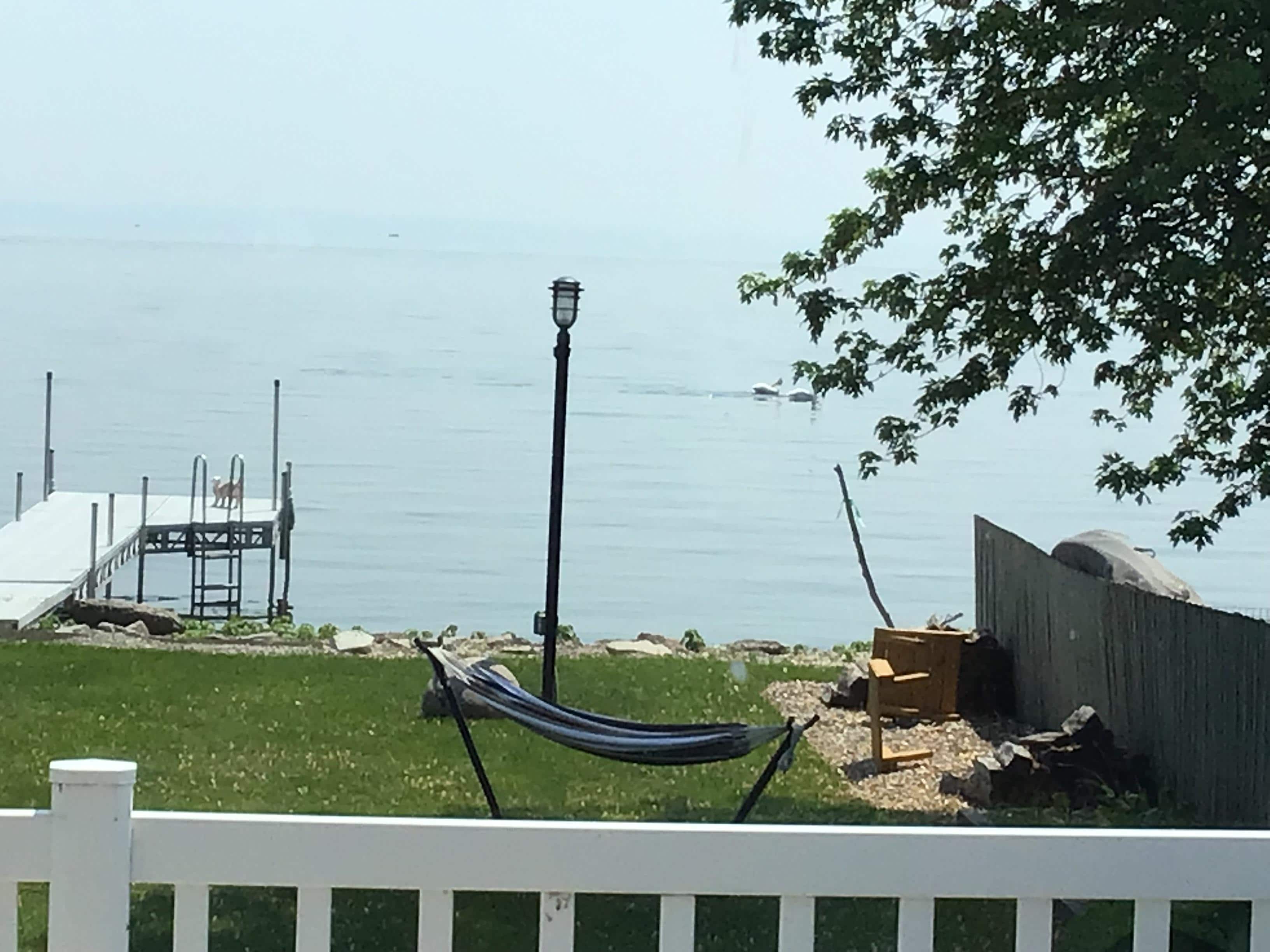 Ready for a nap in the Hammock.