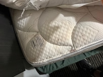 Blood/urine stains on mattress