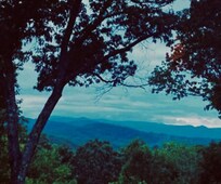 Our view from the rental property.