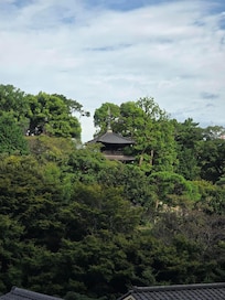 A view from the hotel of the Three-Floored Tower emerging from the small forest in the hotel garden.