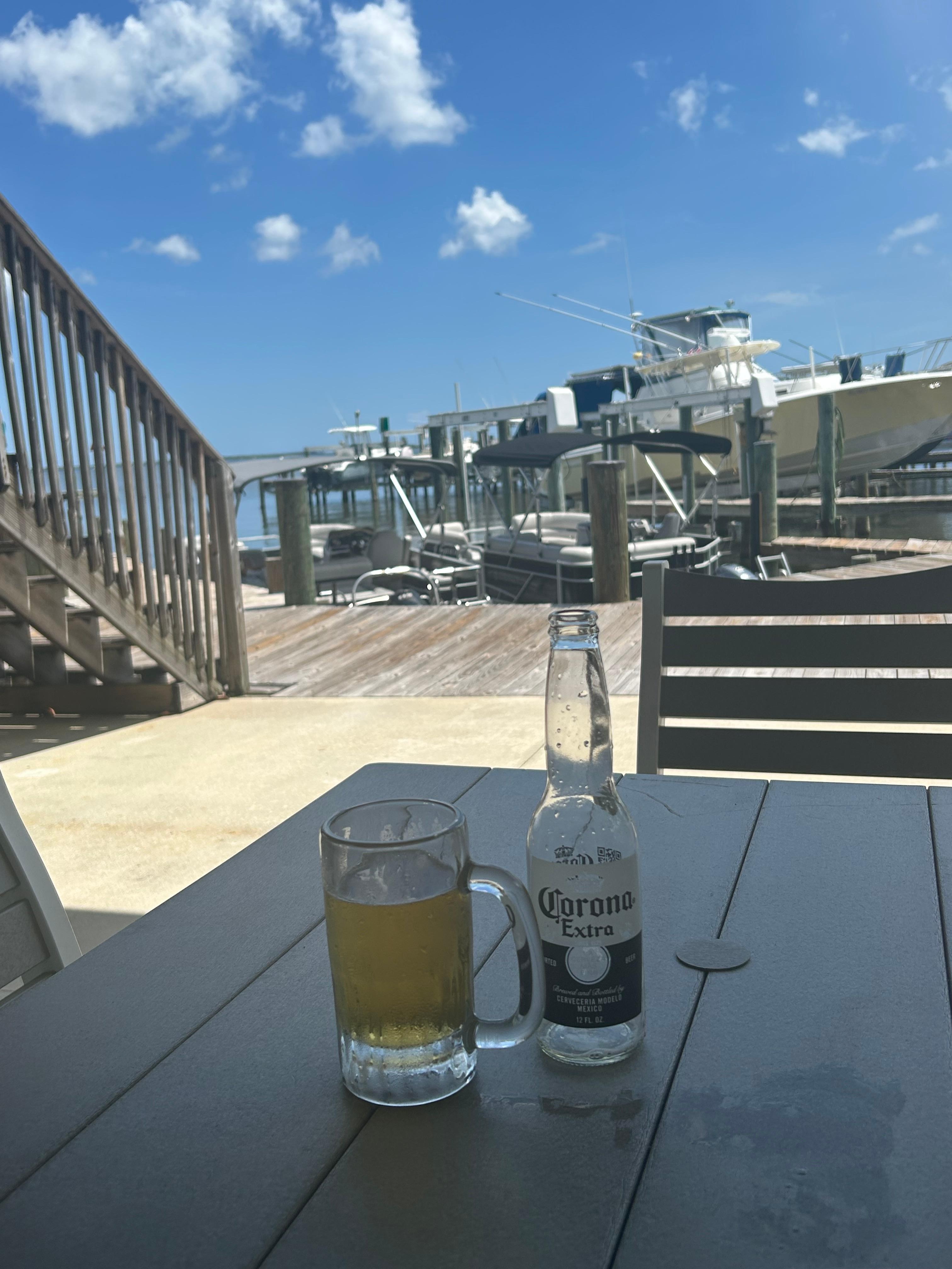 View from the Back Porch 