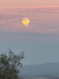 Full moon night