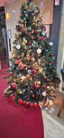 크리스마스 트리