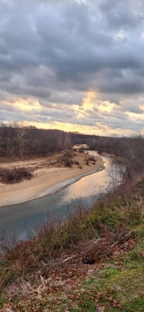 View from the back porch