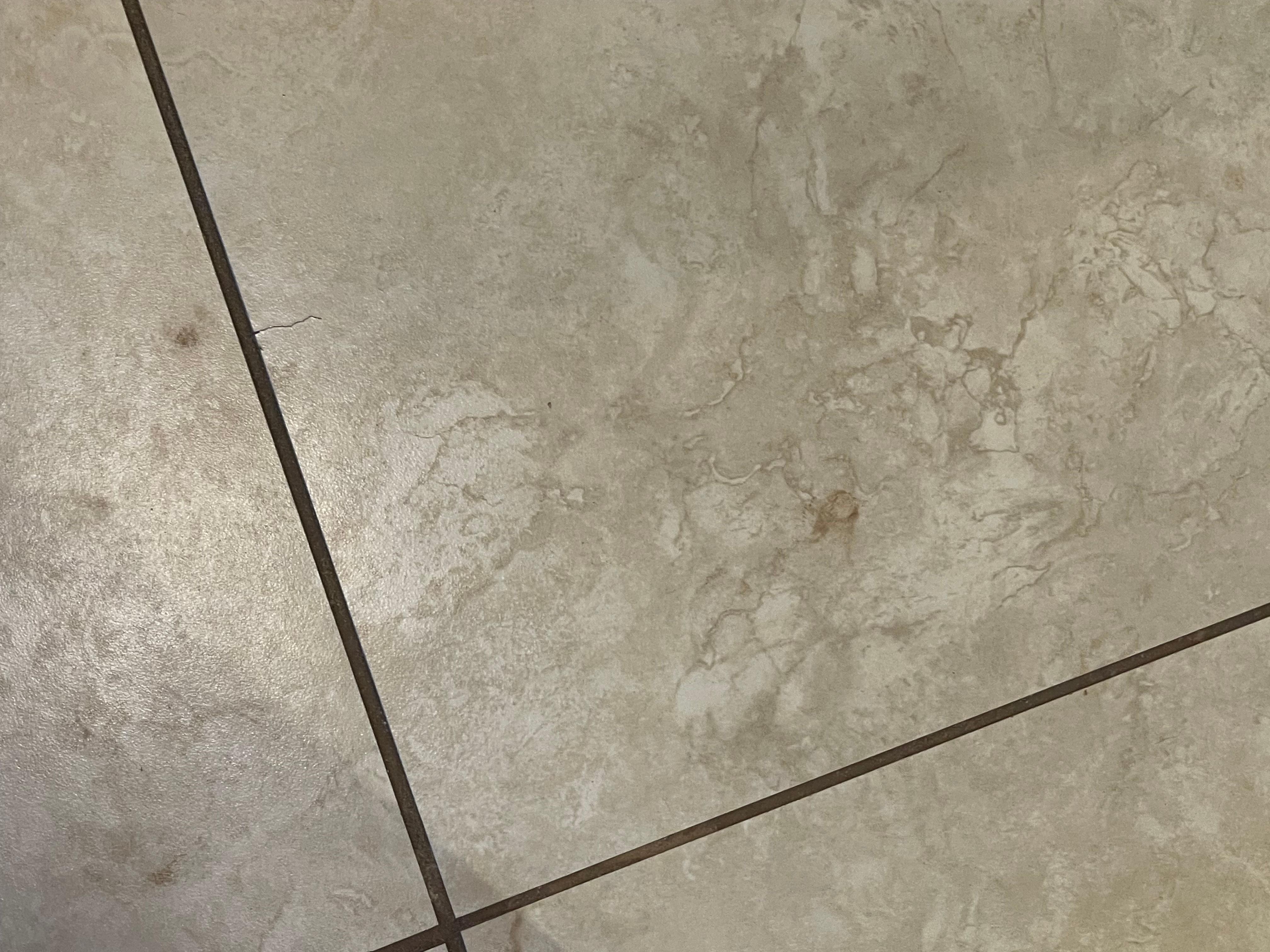 Floor stained