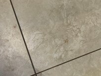 Floor stained