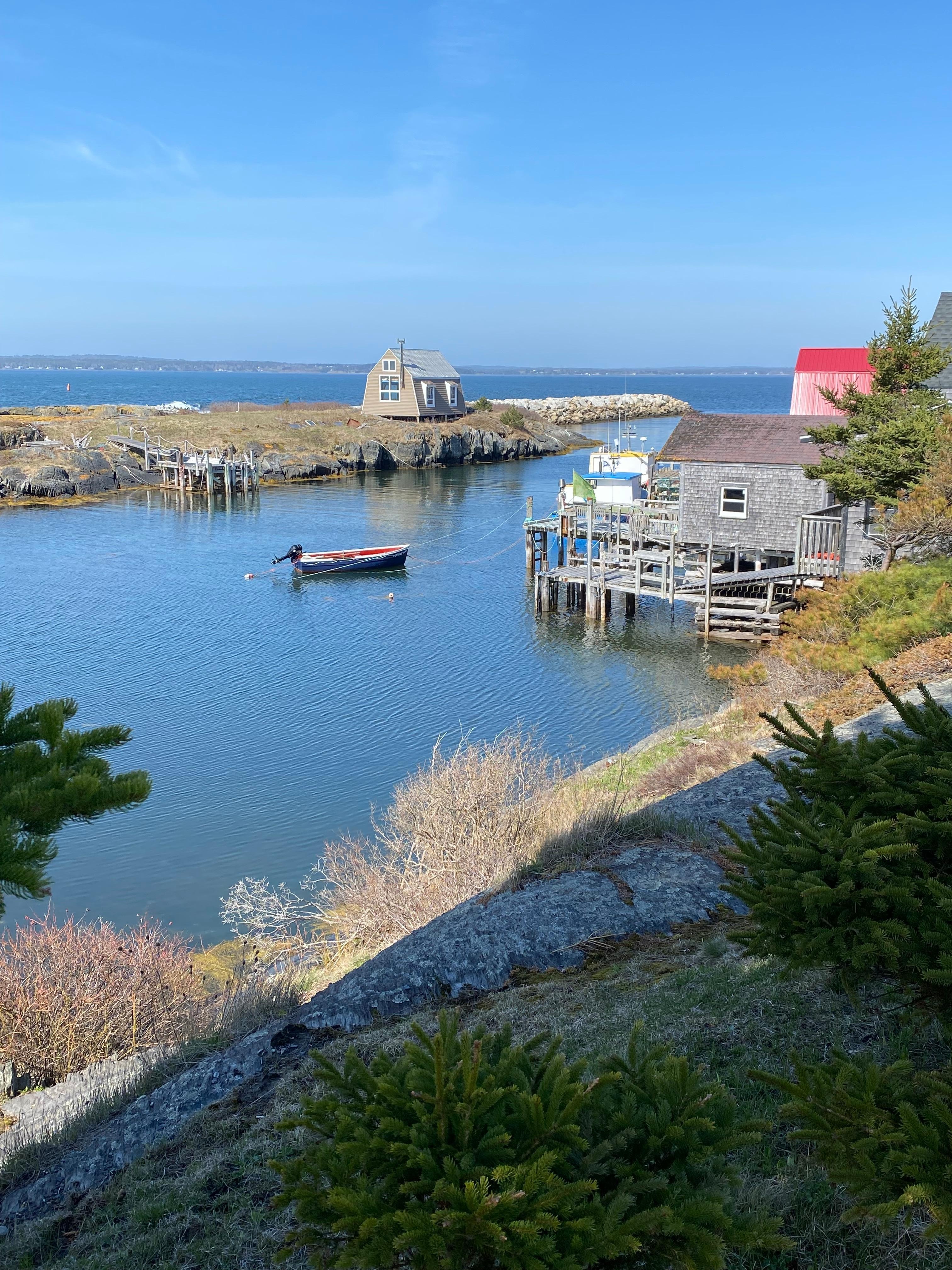 Blue Rocks