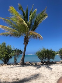 A paradise