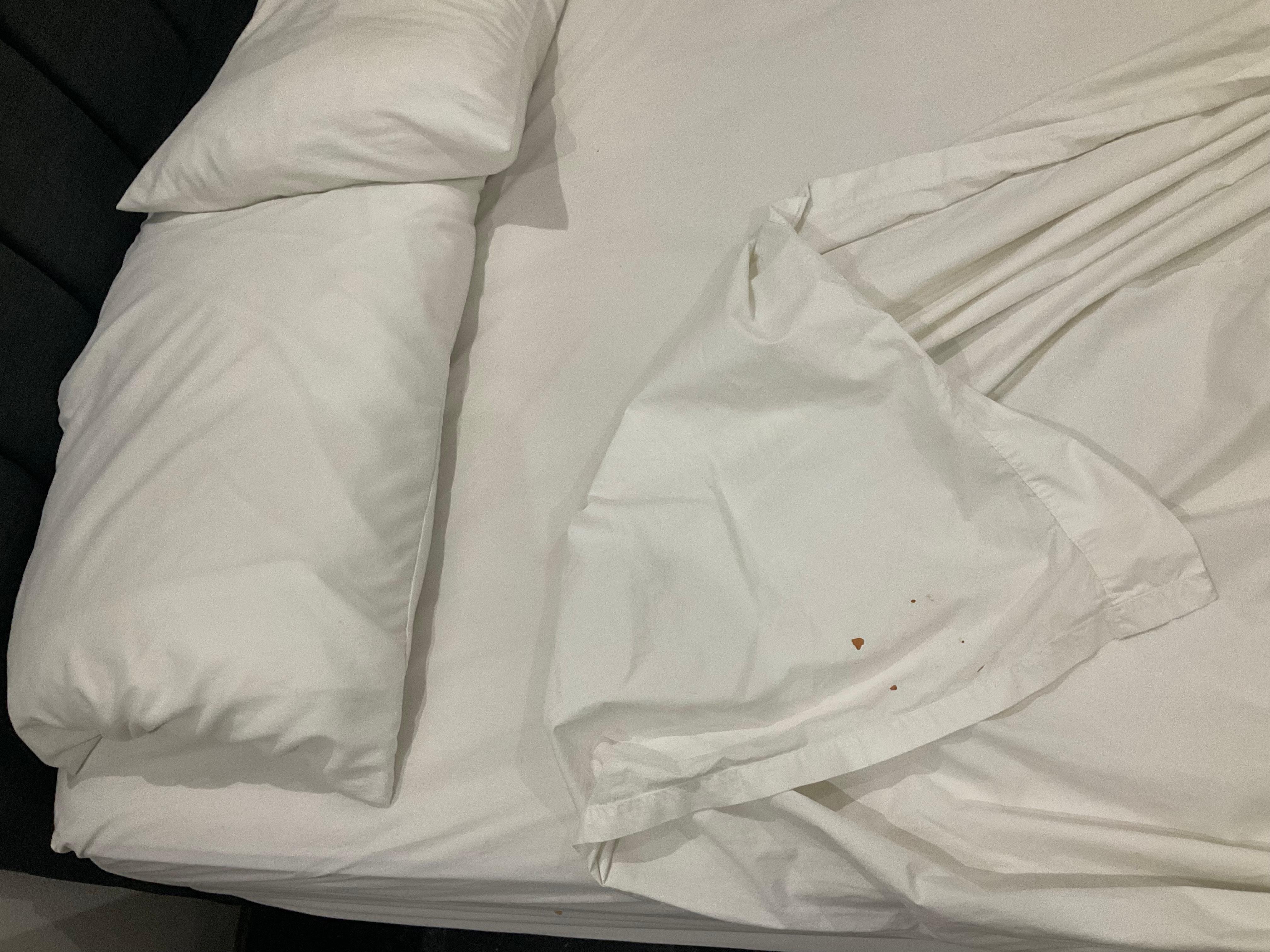 Blood stains on sheets