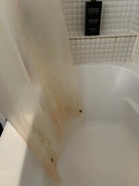 King room bath