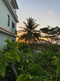View from the back porch