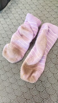 Die Socken unserer Tochter, nachdem sie etwa 20 min. durch die Ferienwohnung lief.