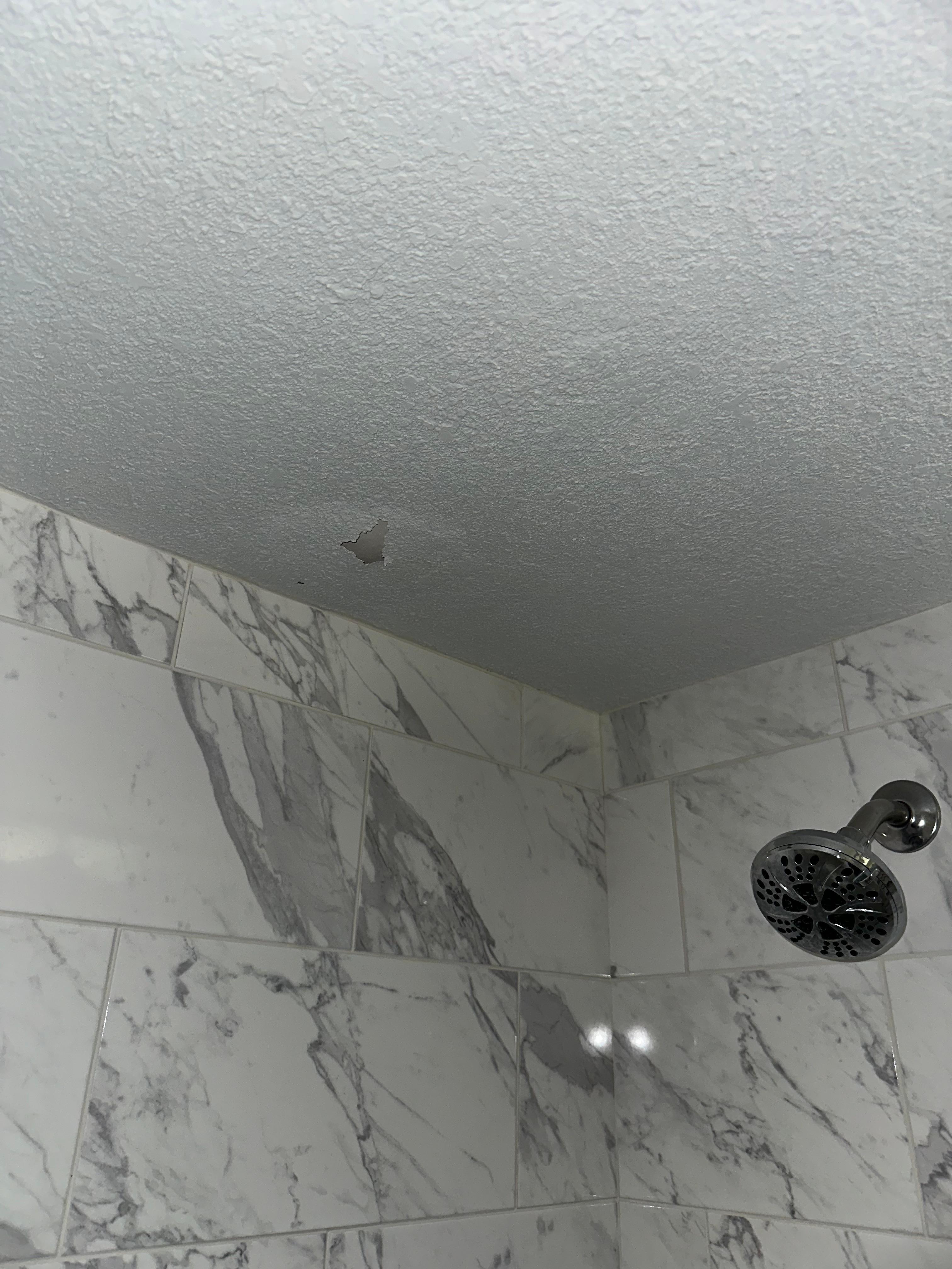 Ceiling above master shower 