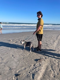 Took dog to beach which we could walk to
