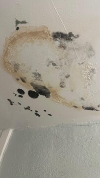 Mold/water damage on bathroom ceiling