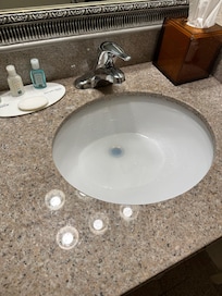 stagnant water sitting in bathroom sink