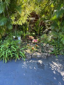 Outside pond with beautiful scenery