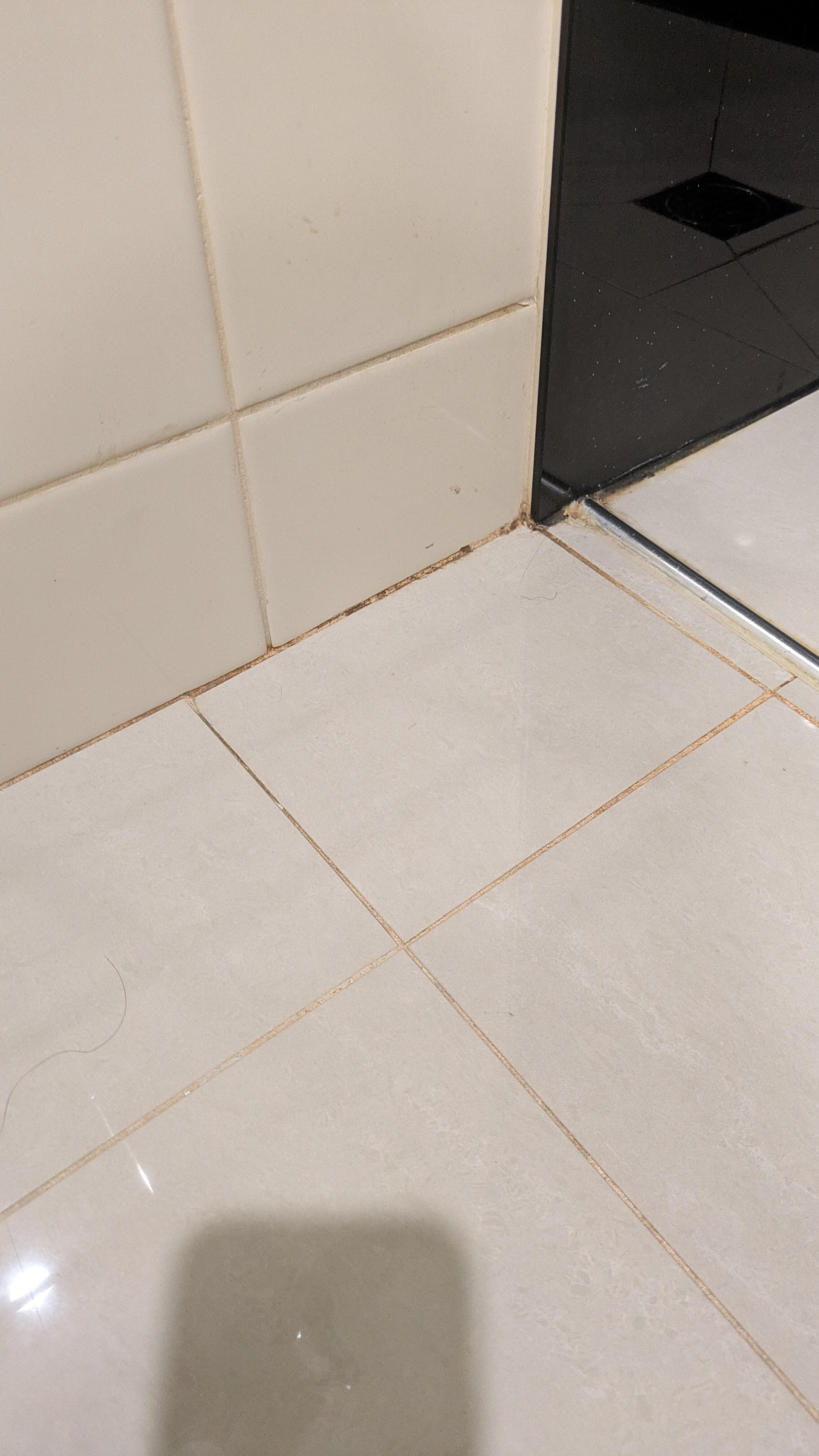 Bathroom mould.