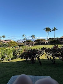 view from the awesome lanai