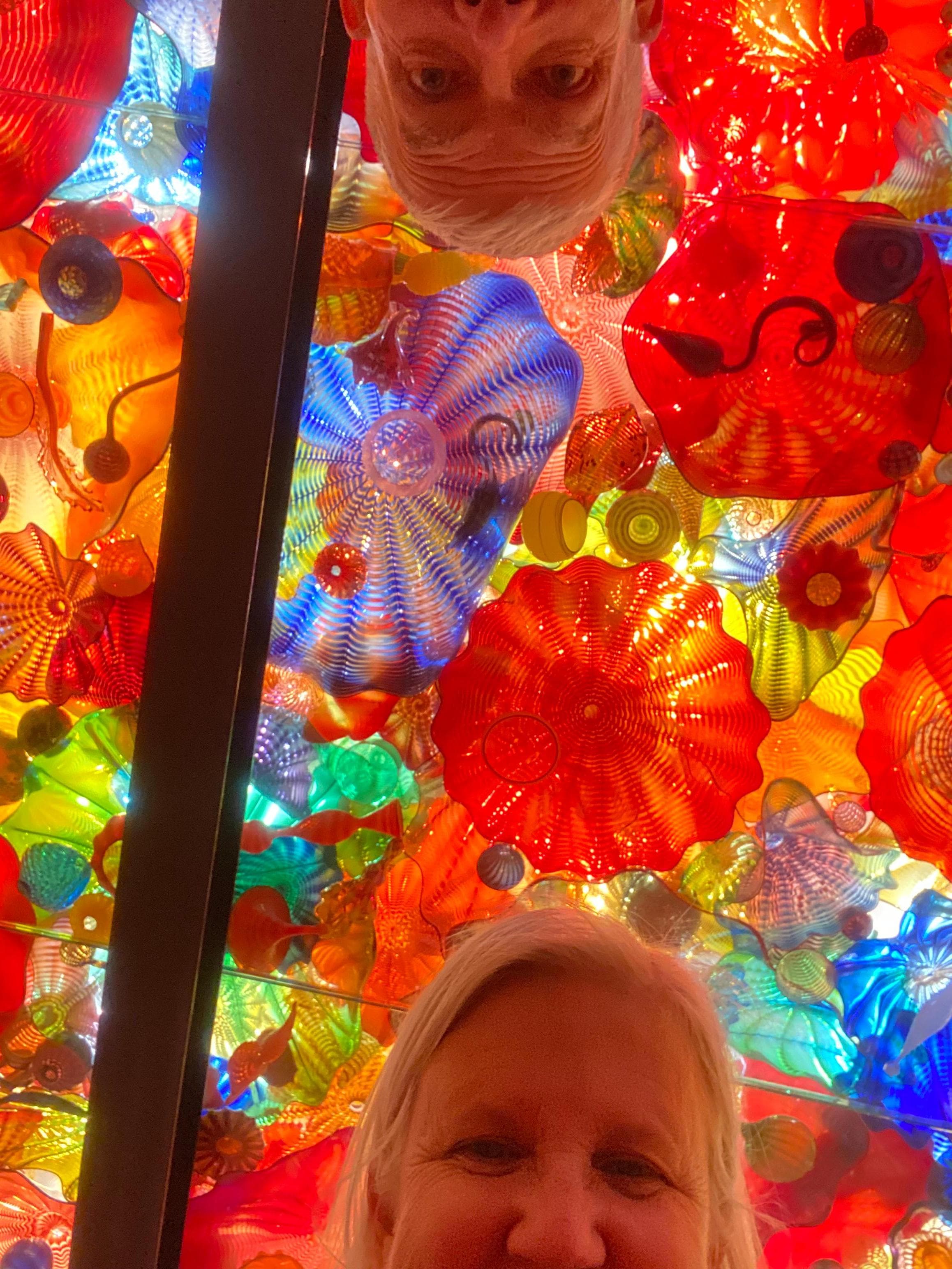 Chihuly Beauty