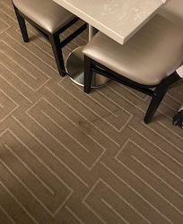 Photo of spot on carpet