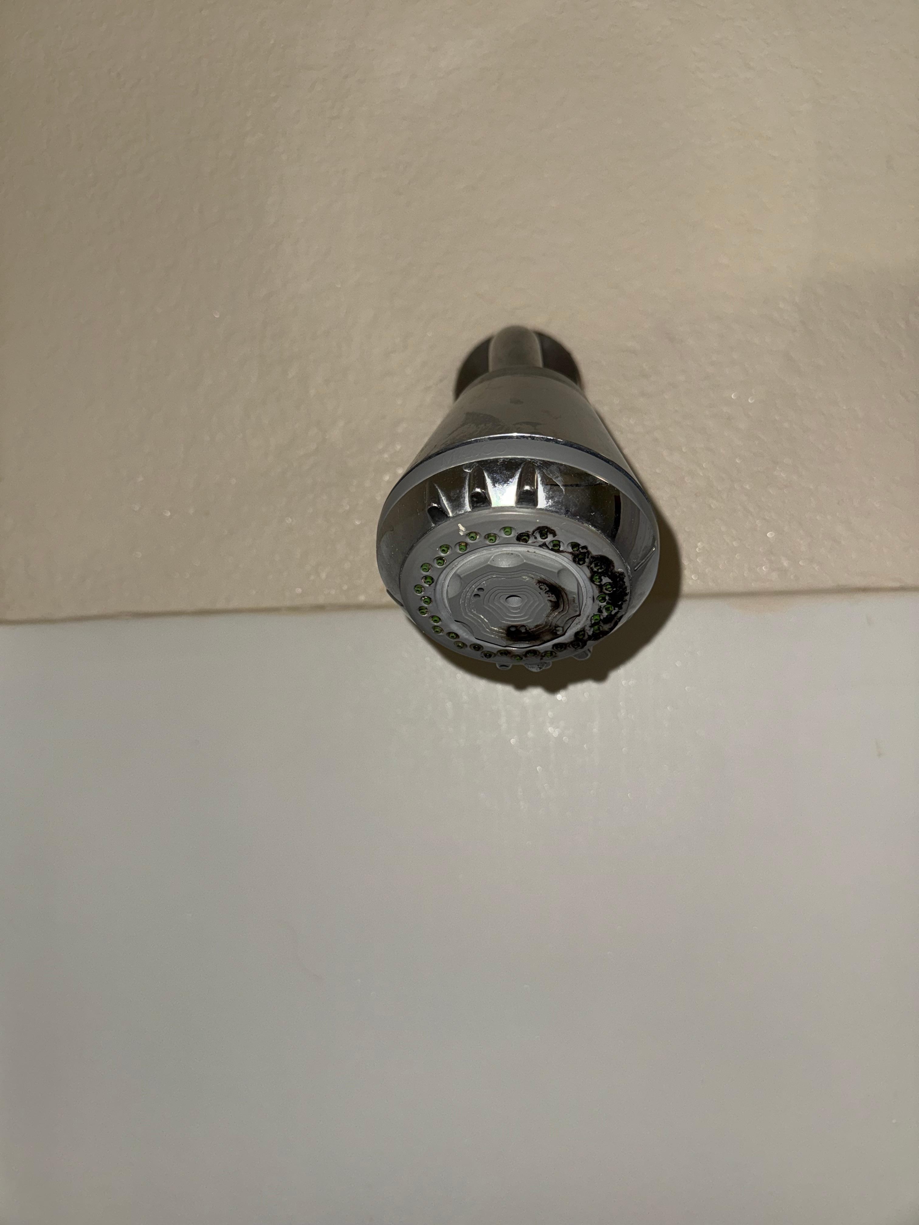 Mold covered showerhead. 