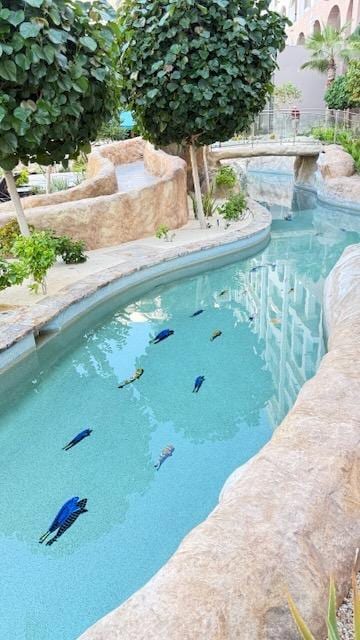 Lazy River - great fun for everyone