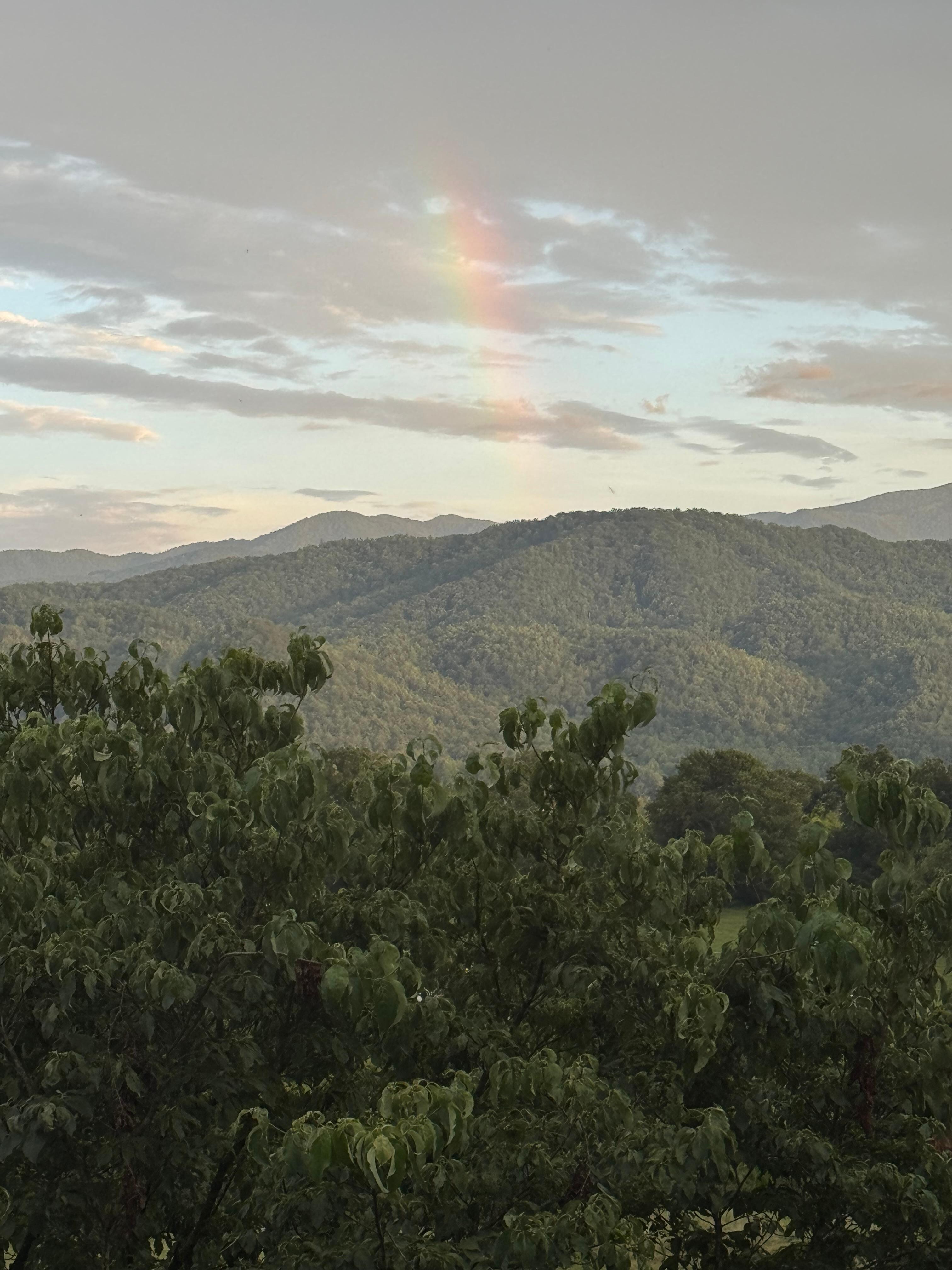 Rainbow!