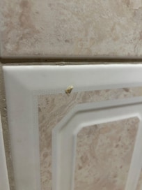 Booger on shower wall! Once I saw that, me and my sister shared the other bathroom.