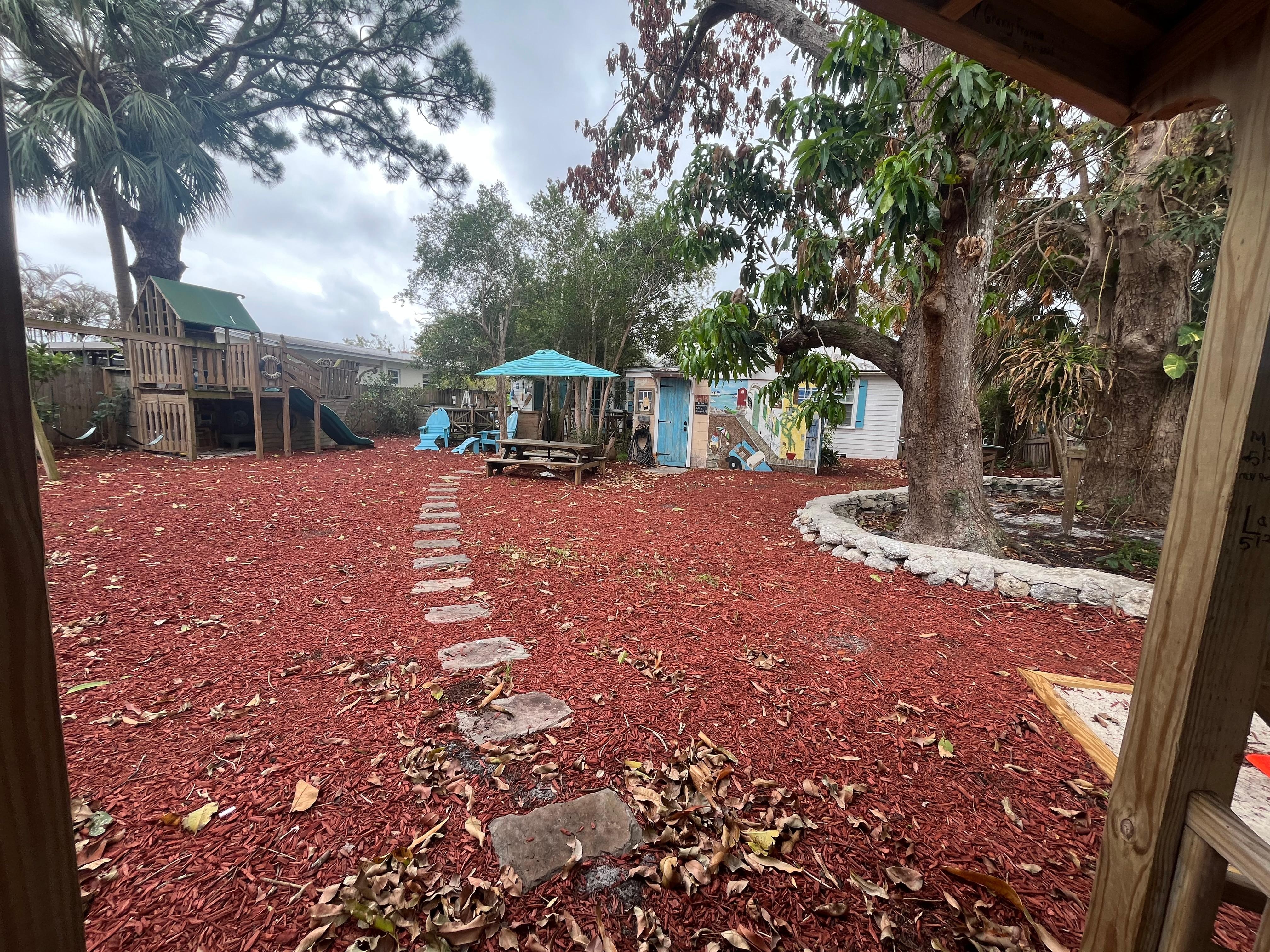 Part of the backyard 