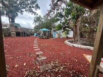 Part of the backyard