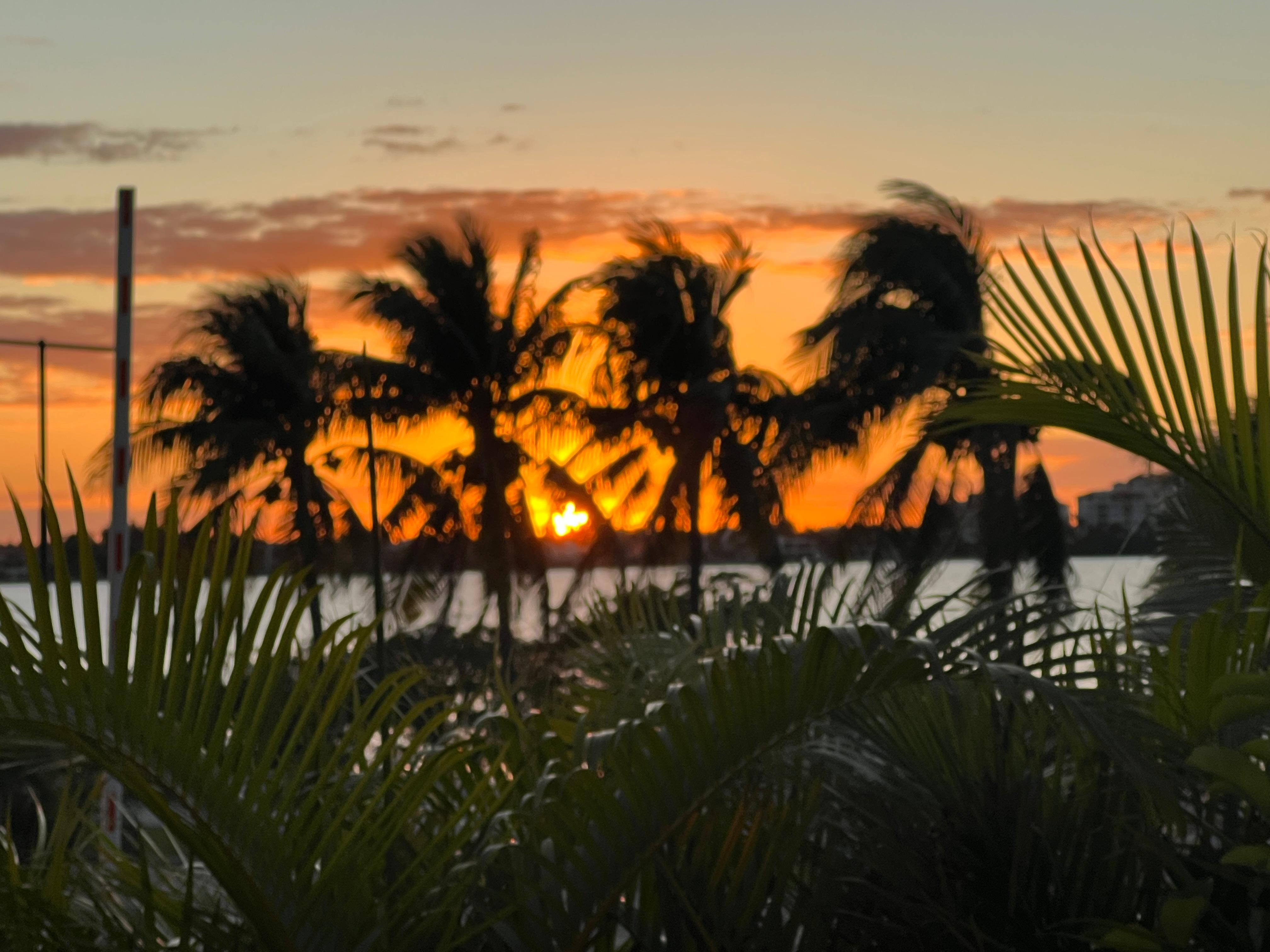 Sunset view from the lobby