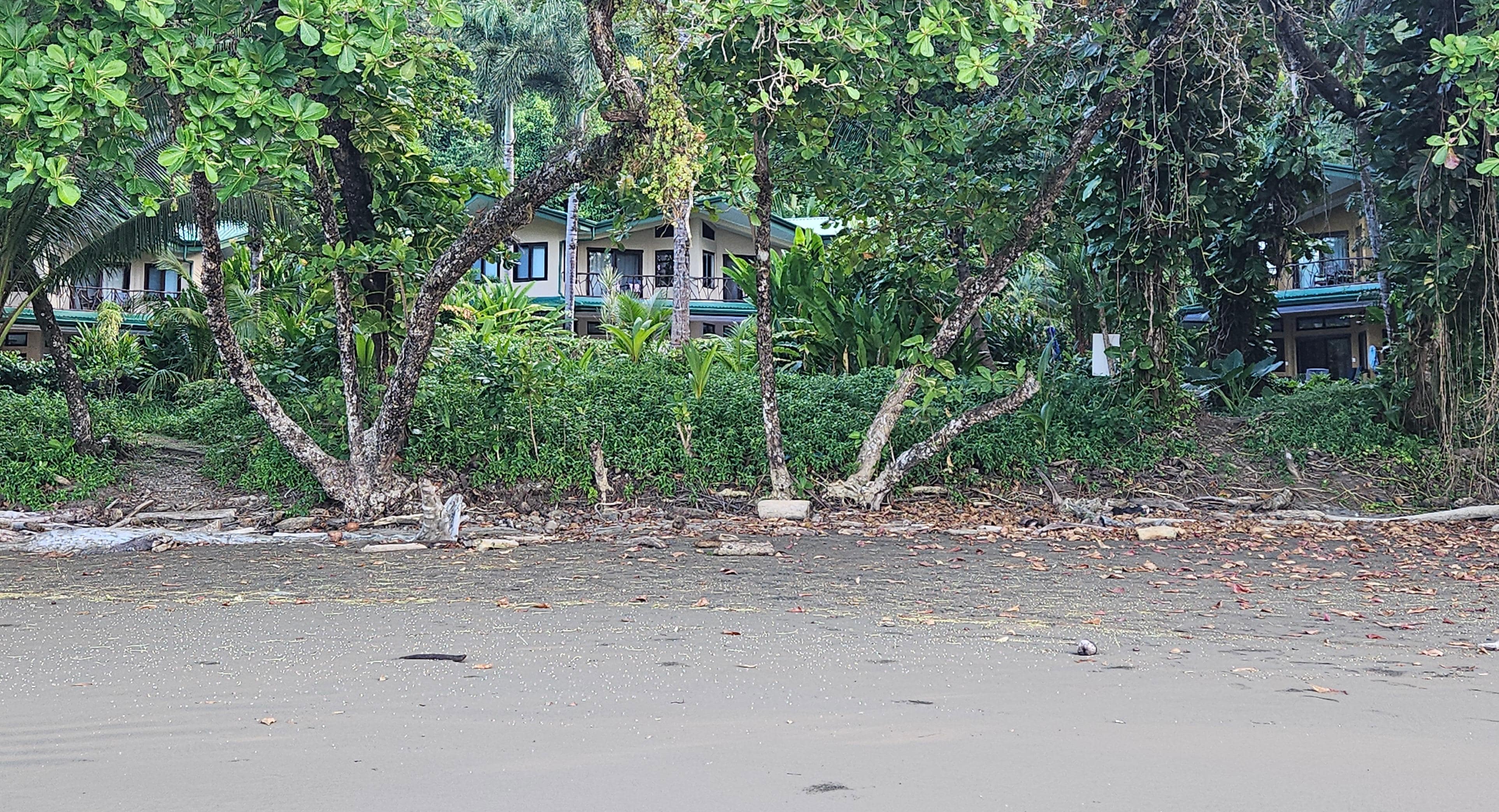 View from beach, low tide