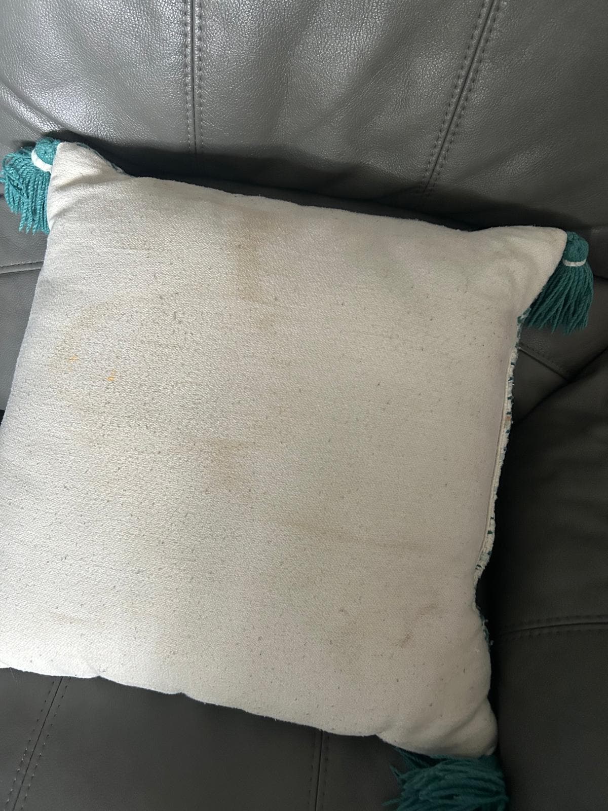 Stains on cushions in living area