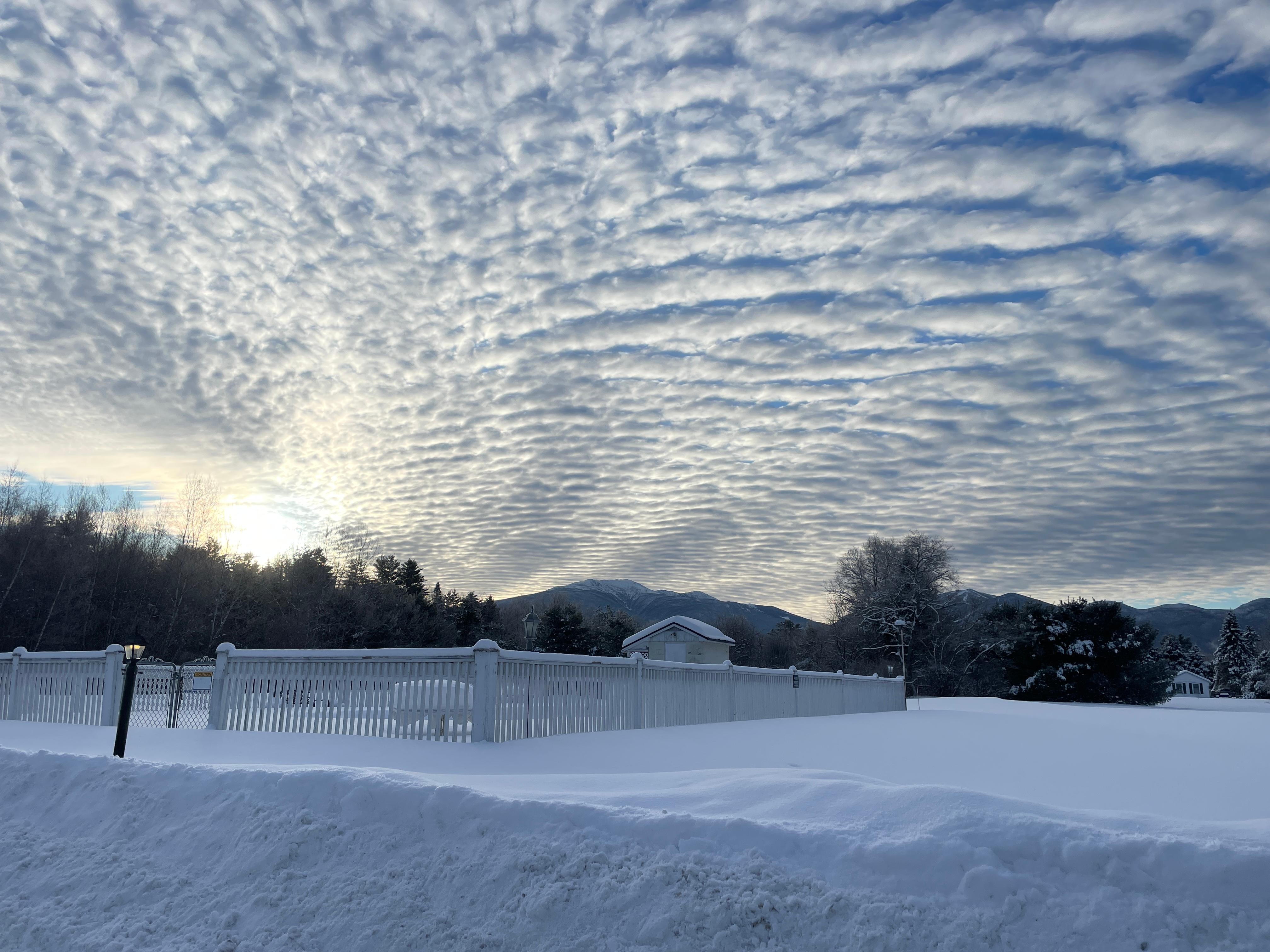 Morning View from our room